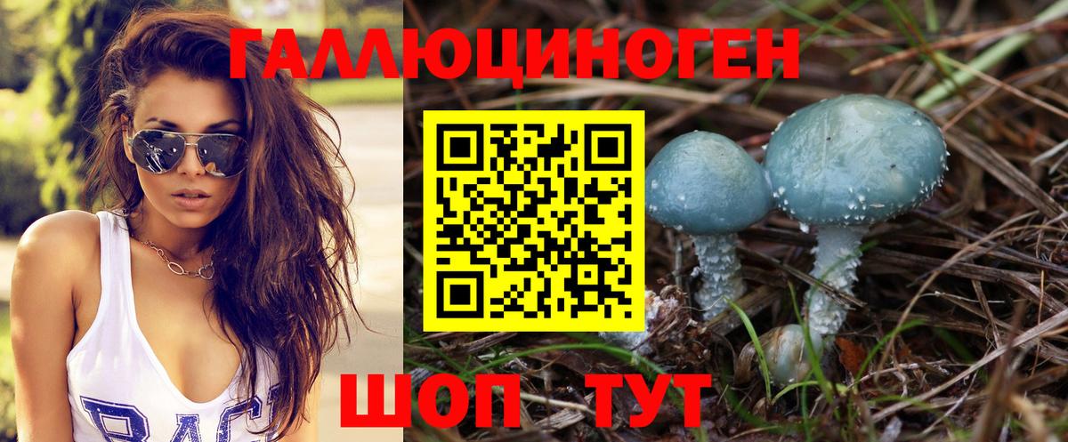 Псилоцибиновые грибы Psilocybe  Вход с VPN  купить   Октябрьский 